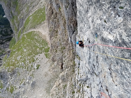 Via Cinco Largos Campanile Negrelli - Via Cinco Largos: Campanile Negrelli, Pale di San Martino, Dolomiti