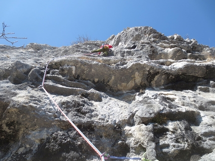 Sogno e realtà Monte Pubel - Croce di San Francesco - Sogno e realtà: Monte Pubel, Valsugana