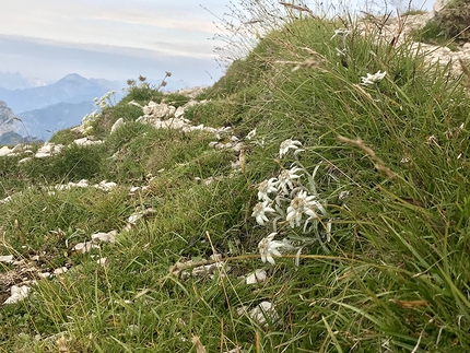 La Via dei Cacciatori Ertani Monte Duranno - La Via dei Cacciatori Ertani: Monte Duranno Via Normale Dolomiti Friuliane