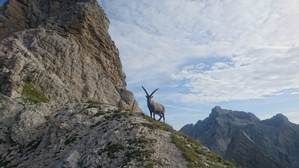 La Via dei Cacciatori Ertani Monte Duranno - La Via dei Cacciatori Ertani: Monte Duranno Via Normale Dolomiti Friuliane