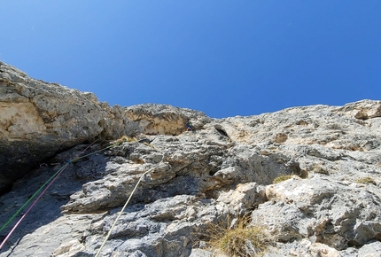 Via Andrea Concini Pala de Socorda - Rosengarten - Via Andrea Concini: Pala de Socorda - Rosengarten, Dolomites