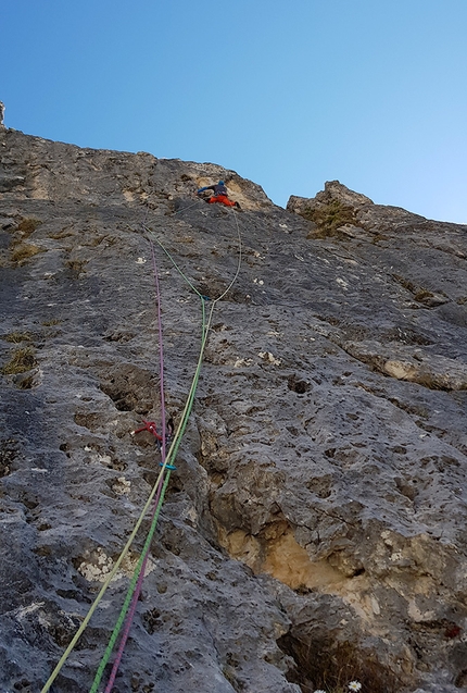 Via Andrea Concini Pala de Socorda - Rosengarten - Via Andrea Concini: Pala de Socorda - Rosengarten, Dolomites