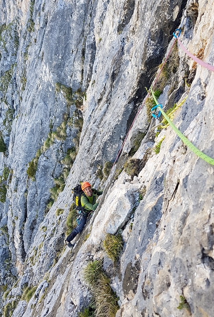 Via Andrea Concini Pala de Socorda - Rosengarten - Via Andrea Concini: Pala de Socorda - Rosengarten, Dolomites