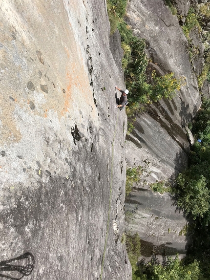 Nido di rondine Scoglio di Boazzo - Nido di rondine: Scoglio di Boazzo, Valle di Daone