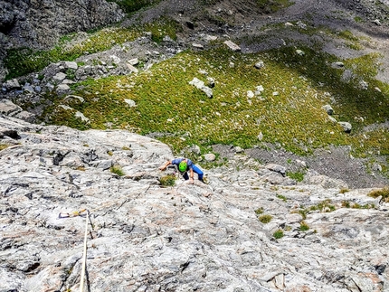 Leontopodium Avancorpo di Punta Pio X - Leontopodium: Avancorpo di Punta Pio X, Val Trona, Val Gerola, Cristian Candiotto, Alessandro Beretta