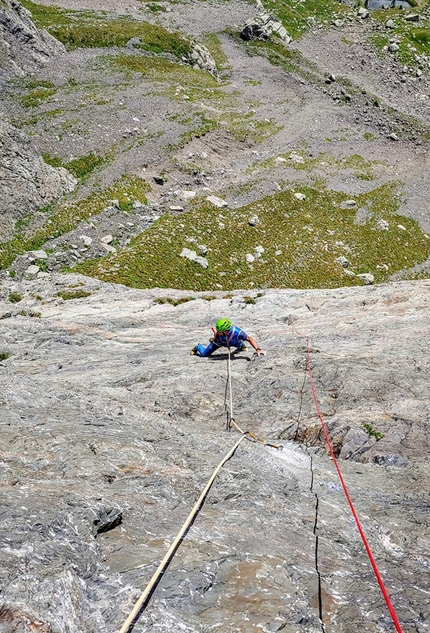 Leontopodium Avancorpo di Punta Pio X - Leontopodium: Avancorpo di Punta Pio X, Val Trona, Val Gerola, Cristian Candiotto, Alessandro Beretta