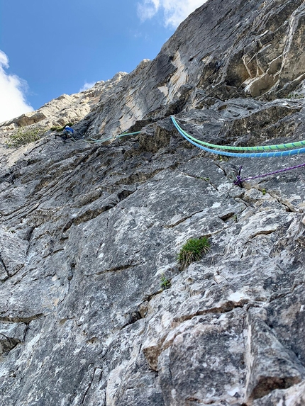 Via Minorata e Minorenne Rocchetta Alta di Bosconero - Pala del Rifugio - Via Minorata e Minorenne: Rocchetta Alta di Bosconero, Dolomiti