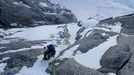 Illogika Monte Nero di Presanella - Illogika: Monte Nero di Presanella: Francesco Rigon gode l'Alpine Ice sul 7° tiro della via Illogika