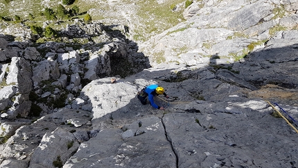 Vecchie Glorie Pala Pinaider - Dirupi del Larsec - Vecchie Glorie: Dirupi di Larsec (Catinaccio, Dolomiti), Marco Bozzetta, Alberto Salogni