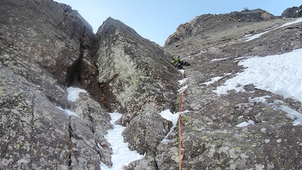 Viola Rame Monte Pietra Quadra - Viola Rame: Monte Pietra Quadra, Alpi Orobie