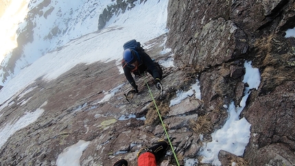 Viola Rame Monte Pietra Quadra - Viola Rame: Monte Pietra Quadra, Alpi Orobie