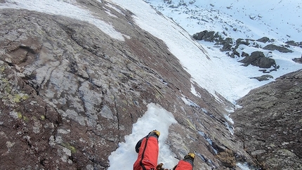 Viola Rame Monte Pietra Quadra - Viola Rame: Monte Pietra Quadra, Alpi Orobie