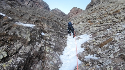 Viola Rame Monte Pietra Quadra - Viola Rame: Monte Pietra Quadra, Alpi Orobie