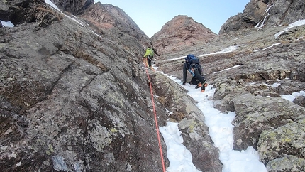 Viola Rame Monte Pietra Quadra - Viola Rame: Monte Pietra Quadra, Alpi Orobie