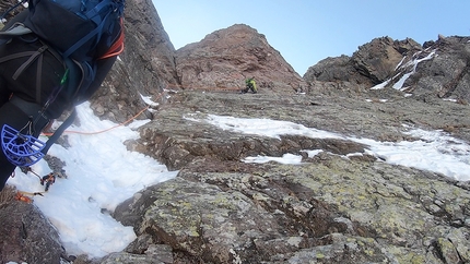 Viola Rame Monte Pietra Quadra - Viola Rame: Monte Pietra Quadra, Alpi Orobie