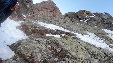 Viola Rame Monte Pietra Quadra - Viola Rame: Monte Pietra Quadra, Alpi Orobie