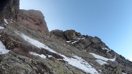 Viola Rame Monte Pietra Quadra - Viola Rame: Monte Pietra Quadra, Alpi Orobie