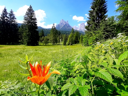 L’anello delle Muse Fedaie - Parco Paneveggio Pale di San Martino - L’anello delle Muse Fedaie - Parco Paneveggio Pale di San Martino: © Franco Voglino e Annalisa Porporato