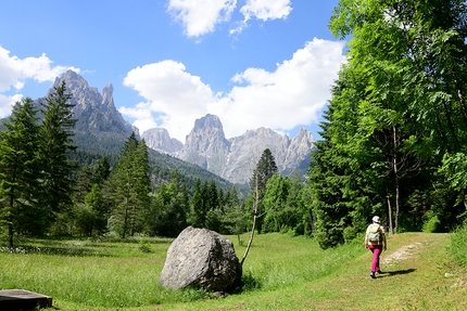 L’anello delle Muse Fedaie - Parco Paneveggio Pale di San Martino - L’anello delle Muse Fedaie - Parco Paneveggio Pale di San Martino: © Franco Voglino e Annalisa Porporato