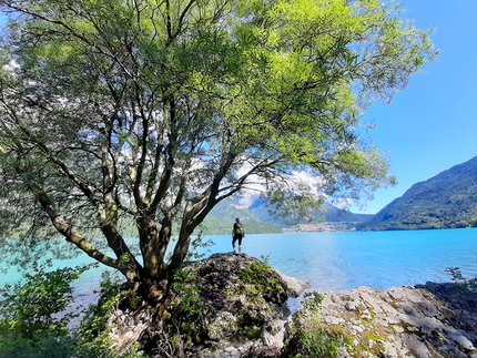 Attorno al Lago di Molveno - Altopiano della Paganella - Attorno al Lago di Molveno - Altopiano della Paganella: © Franco Voglino e Annalisa Porporato
