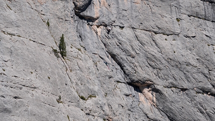 Thriller Col Becchei - Thriller: Col Becchei, Dolomiti © Ivo Maistrello, Diana Sbabo