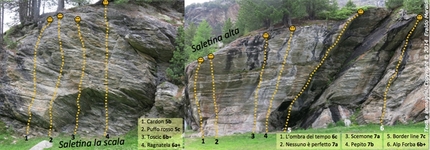 Saletina Alta Falesia dei Forni - 