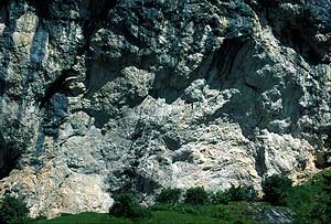 Pian Schiavaneis, Dolomiti - Pian Schiavaneis, Dolomiti