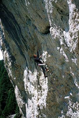 Pian Schiavaneis, Dolomites - Pian Schiavaneis, Dolomites
