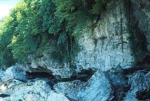 Ponte San Quirino - Andrea Luise in arrampicata a Ponte San Quirino