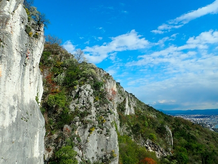 Napoleonica - Nicholas Hobley, Cottolengo, Napoleonica