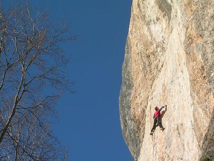 Cornalba - Apache 8a, Cornalba