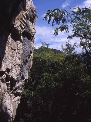 Sasso Pelo, Lombardia, Italia - In arrampicata a Sasso Pelo