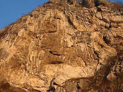 Parete dei Falchi, Belluno - La Parete dei Falchi dal sottostante bosco di noccioli in riva al Piave