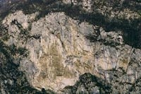 Parete dei Falchi, Belluno - La Parete dei Falchi dal sottostante bosco di noccioli in riva al Piave