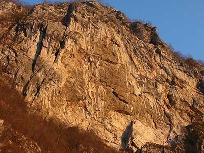 Parete dei Falchi, Belluno - La Parete dei Falchi dal sottostante bosco di noccioli in riva al Piave