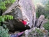 Pietra del Toro - Bouldering at Pietra del Toro