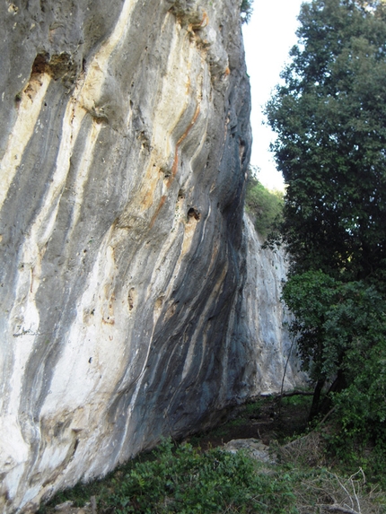 Umpa Lumpa, Sicily - Umpa Lumpa, Sicily
