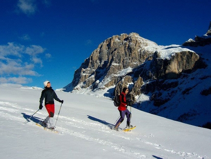 Guida Alpina Demis Centi - 