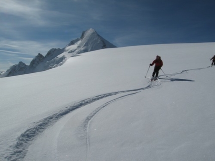 Guidemonterosa - 