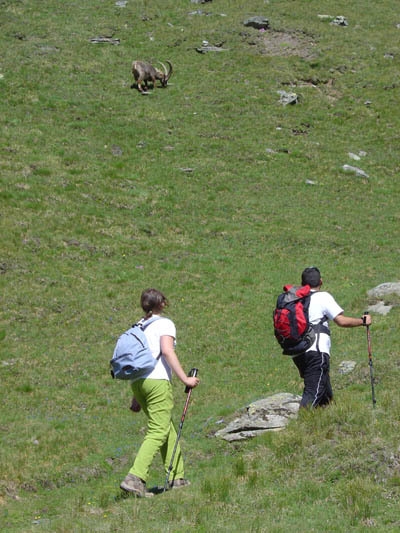 Trekking Ragazzi  valle d'Aosta 
