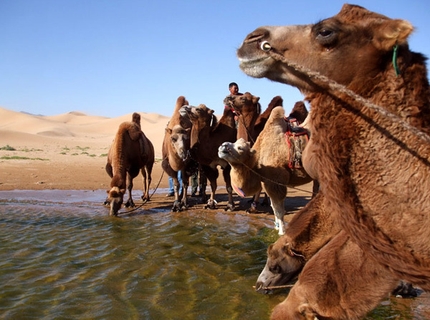 Mongolia - Carovana nel Gobi 