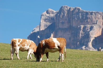 Dolomites hut to hut experience