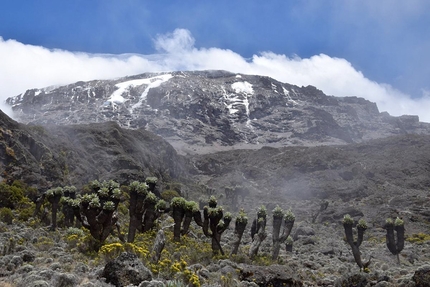 Kilimangiaro in Tanzania, la montagna più alta dell'Africa
