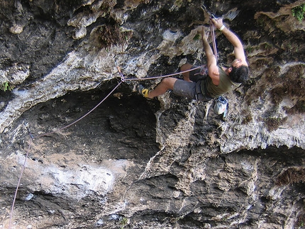 Lanex Tendon Master 9.7mm - La Grotta 8a, Brojon, Lumignano, Italy