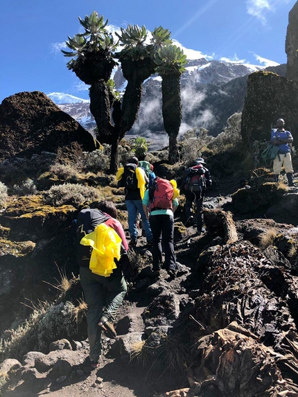 La salita del Kilimangiaro, con i suoi 5895 metri il monte più alto del continente africano,  lungo la via di salita Machame Route. Un'avventura di 10 giorni. - 