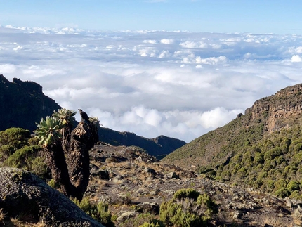 La salita del Kilimangiaro, con i suoi 5895 metri il monte più alto del continente africano,  lungo la via di salita Machame Route. Un'avventura di 10 giorni. - 