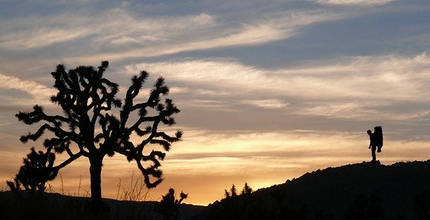 Romain Desgranges highball bouldering at Joshua Tree