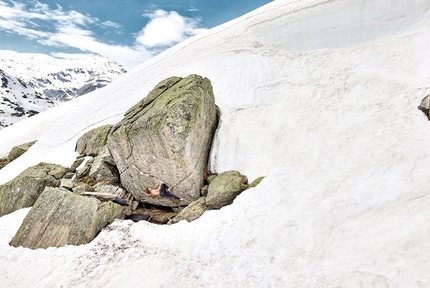 Giuliano Cameroni frees Hazel Grace 8C/+ at Gottardo