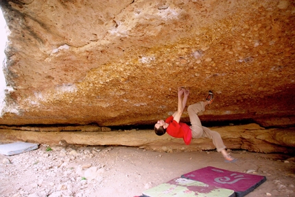 Nacho Sánchez frees Insomnio 8C at Crevillente