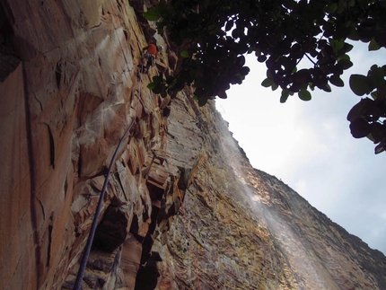 Amuri Tepui - Sean Villanueva exiting the jungle on the first pitch Maria Rosa